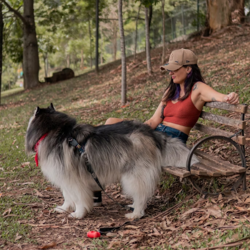 Bruna Fernandes, Pet Shop — Londrina/PR